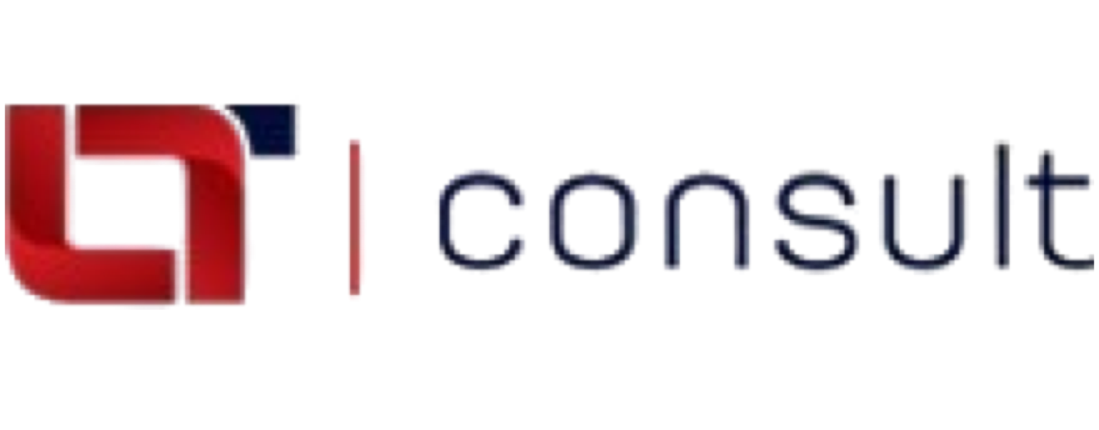 LT CONSULT