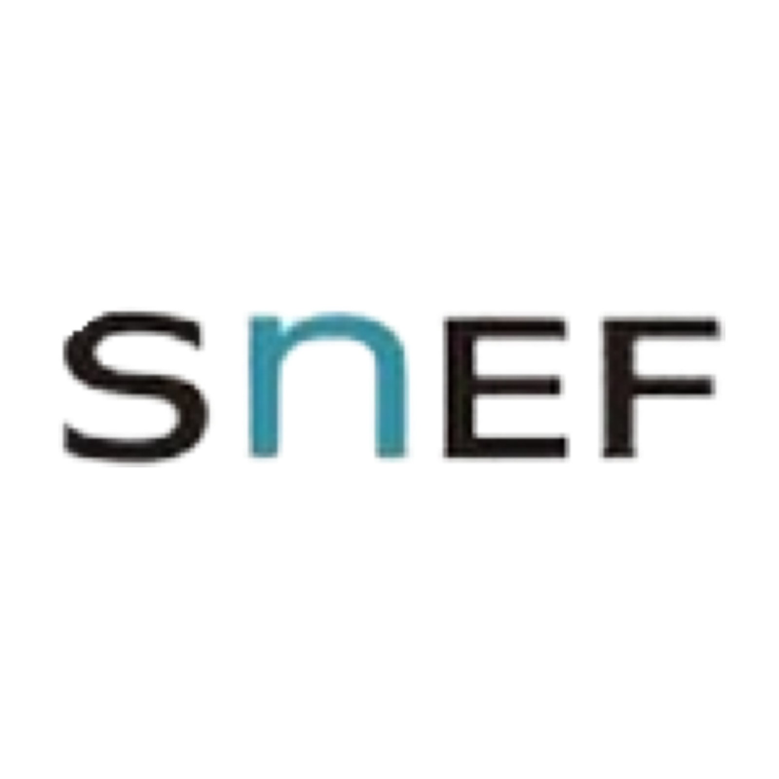 SNEF ENERGIA E TELECOMUNICAÇÕES LTDA