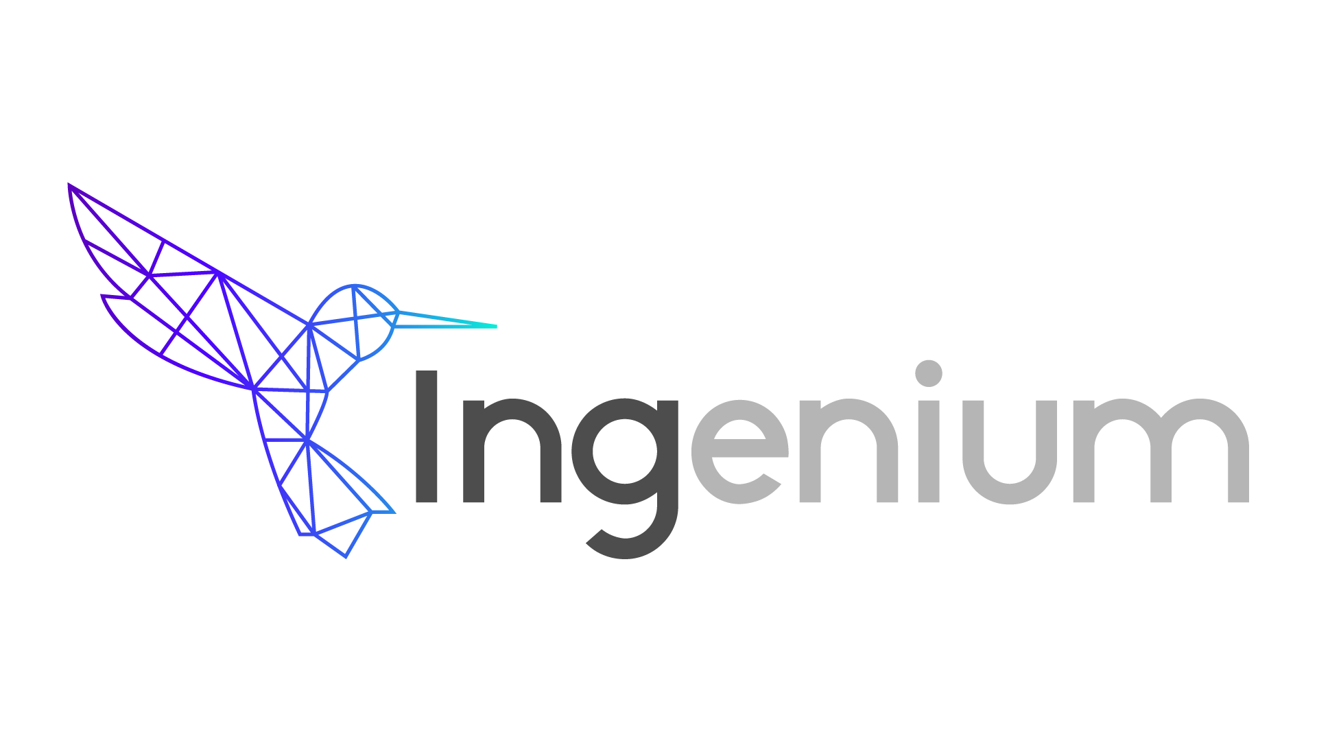 Ingenium do Brasil LTDA
